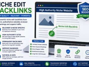 Niche Edit Backlinks